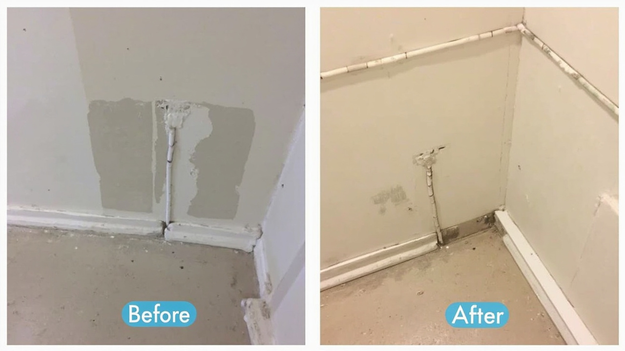 Spotting foundation cracks before they flood your basement in North Center